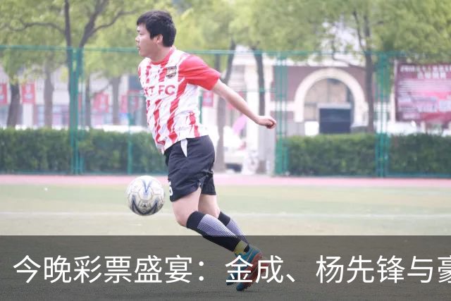 今晚彩票盛宴：金成、杨先锋与豪华彩金的奇遇记